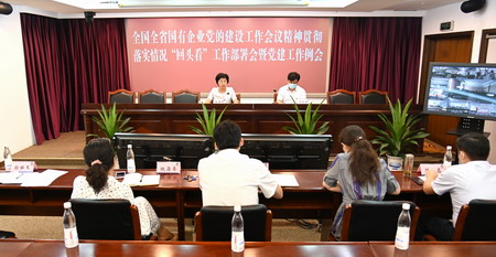 德彩网集团党委召开全国全省国有企业党的建设工作会议精神贯彻落实情况“回头看”工作部署会暨党建工作例会