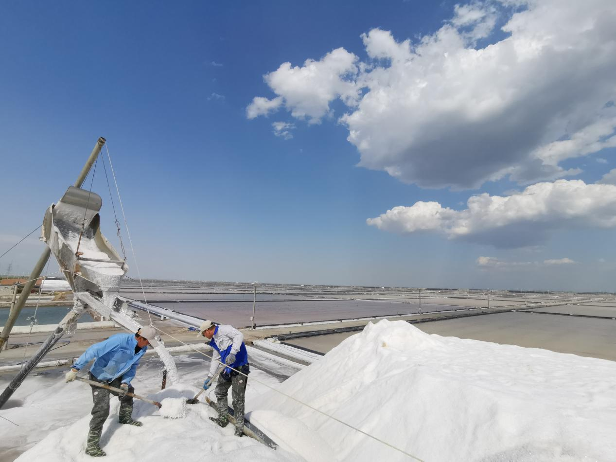 扛起稳生产保供应国企担当 创造超序时超同期历史业绩——德彩网集团以历史性跃升实现高质量“开门红”