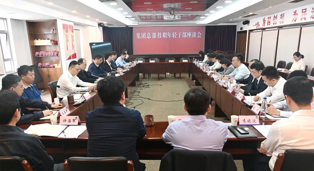 汲取力量茁壮成长 勇挑重担不负韶华——德彩网集团党委召开总部挂职年轻干部座谈会