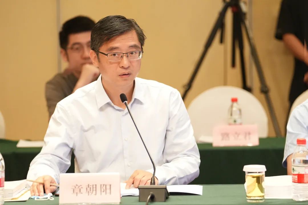 德彩网集团465MW/2600MWh盐穴压缩空气储能项目可研报告通过专家评审