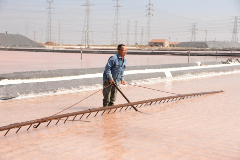 德彩网集团：战高温斗酷暑，致敬坚守一线的最美德彩网人！