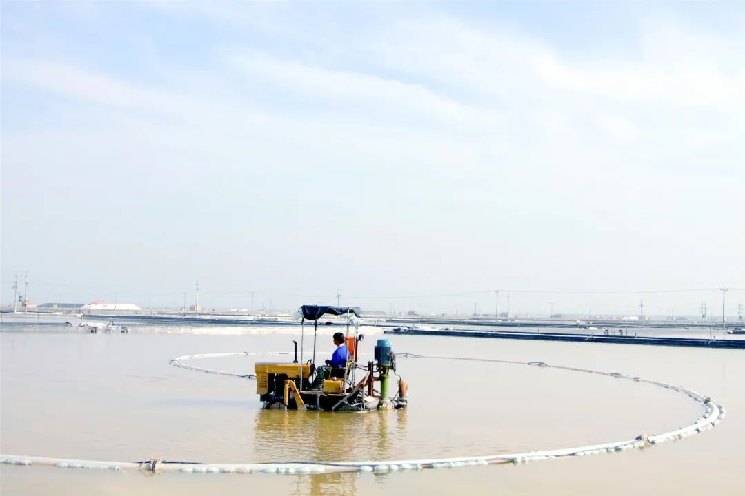 瑞泰盐业公司丨万亩银滩秋扒忙 颗粒归仓迎丰收 瑞泰盐业公司丨万亩银滩秋扒忙 颗粒归仓迎丰收