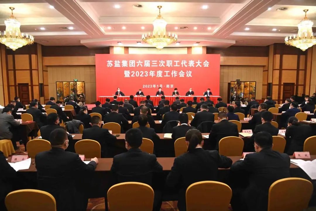 德彩网集团隆重召开六届三次职工代表大会暨2023年度工作会议
